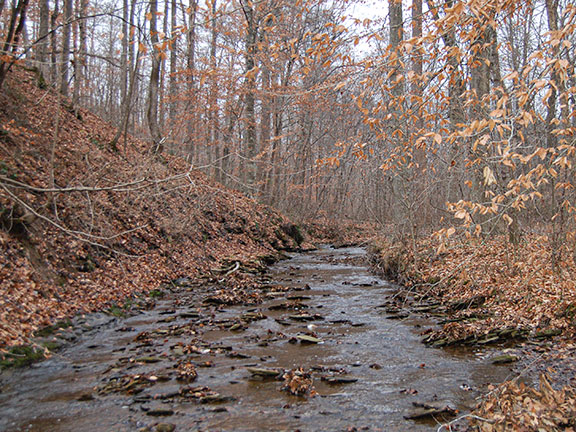 Campbellsville Bypass