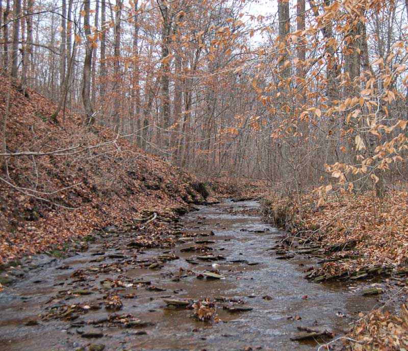 Campbellsville Bypass